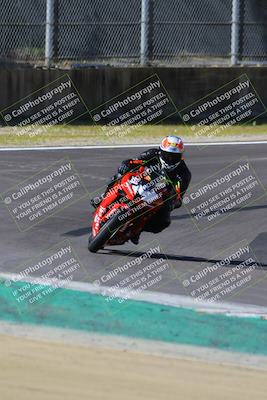 media/Mar-17-2024-Fastrack Riders (Sun) [[c7d6f8c14c]]/Level 2/Turn 6/